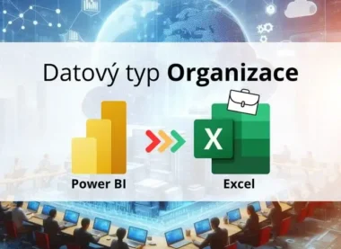 Datový typ organizace